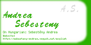andrea sebesteny business card