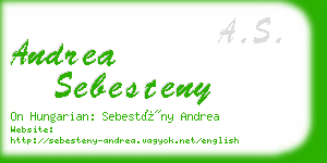 andrea sebesteny business card